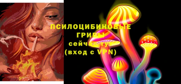 трава Мегион