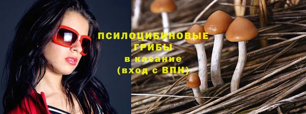 крисы Медногорск