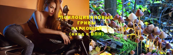 дмт Медвежьегорск