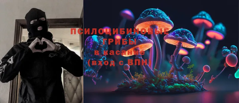 купить закладку  кракен зеркало  Псилоцибиновые грибы MAGIC MUSHROOMS  Казань 