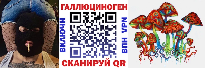 купить наркотик  Казань  MEGA ссылка  Псилоцибиновые грибы мицелий 