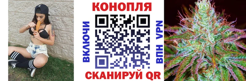 Бошки Шишки VHQ Казань